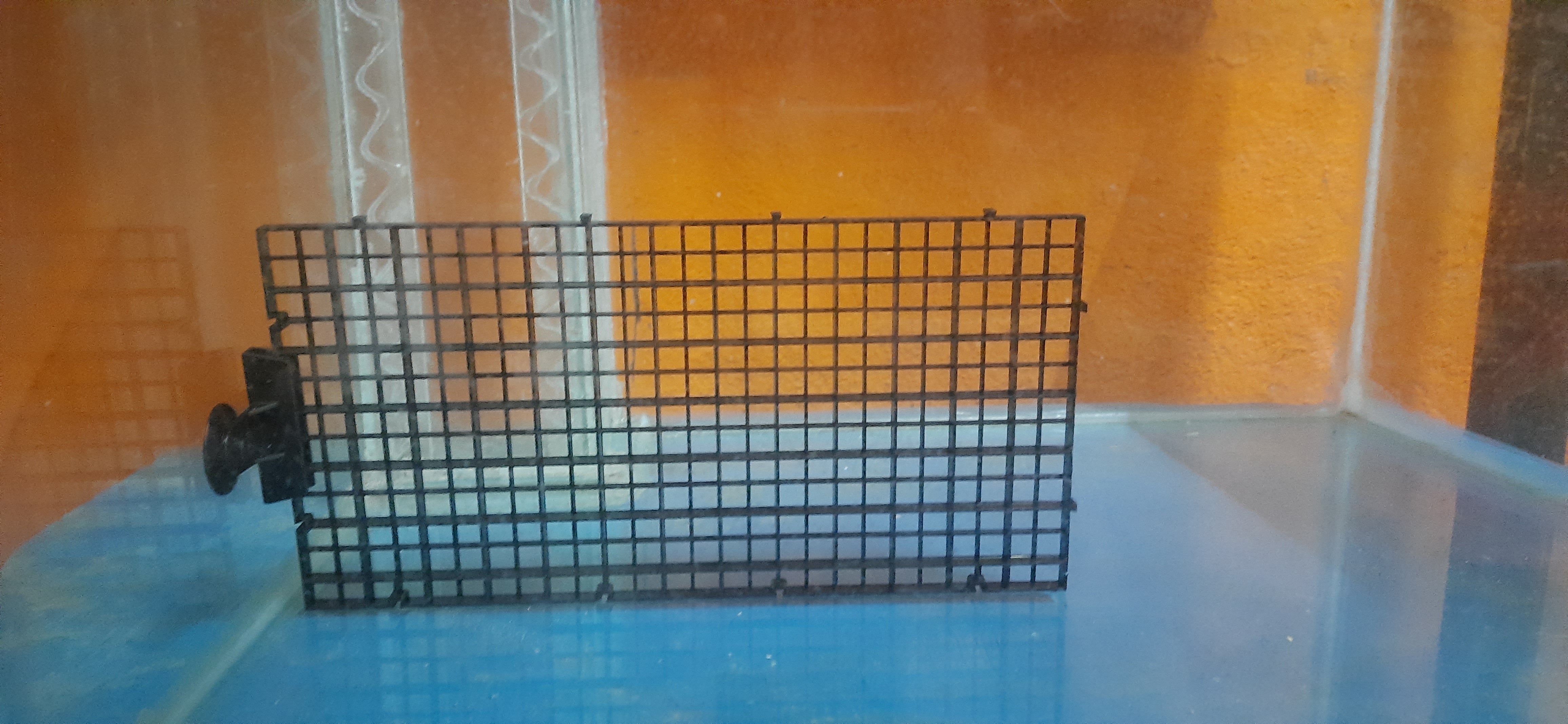 Fish Tank Plastic Grid Divider (Plastic Grid Imported) / Egg Crate Tray