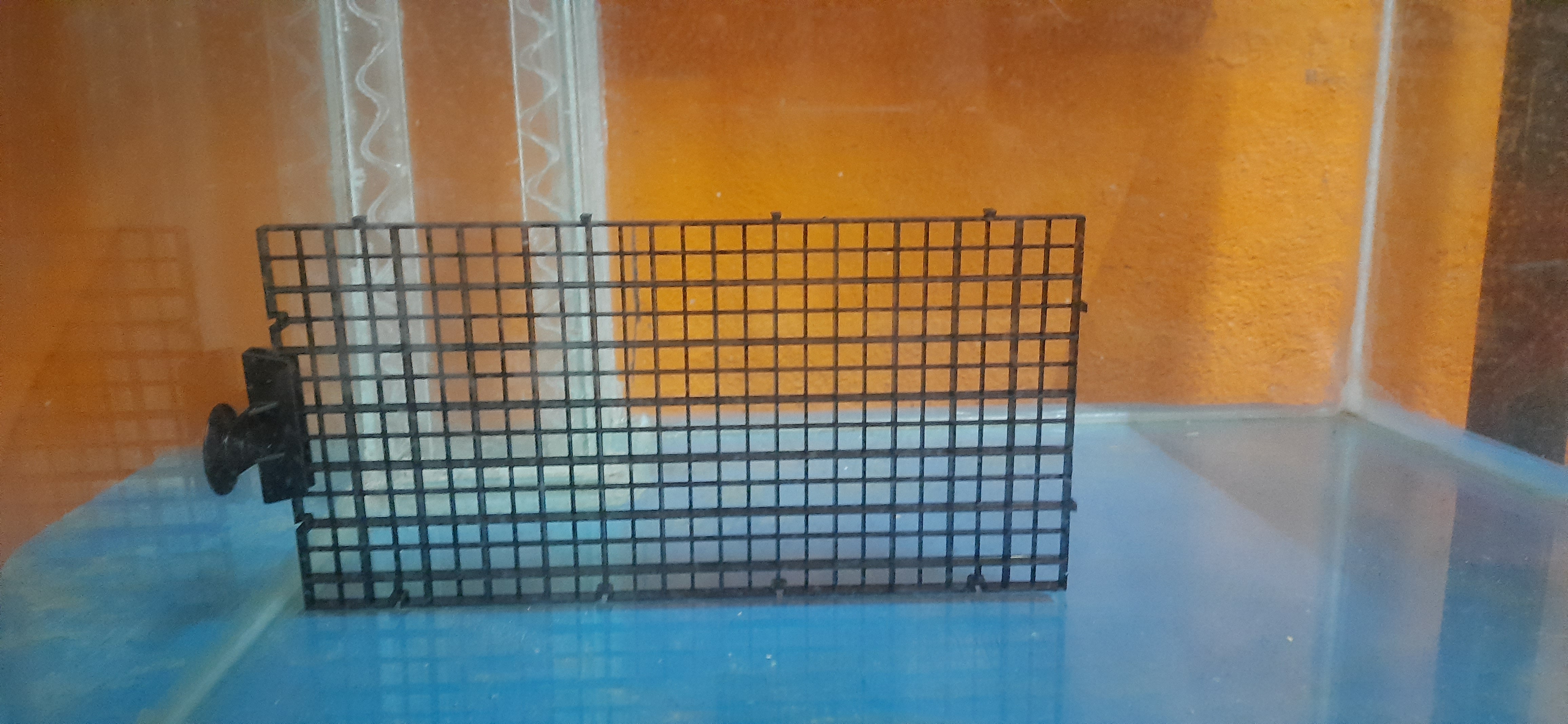 big net dividers for fish tanks Fish Tank Plastic Grid Divider (Plastic Grid Imported) / Egg Crate Tra – RAJ FISH AQUARIUM