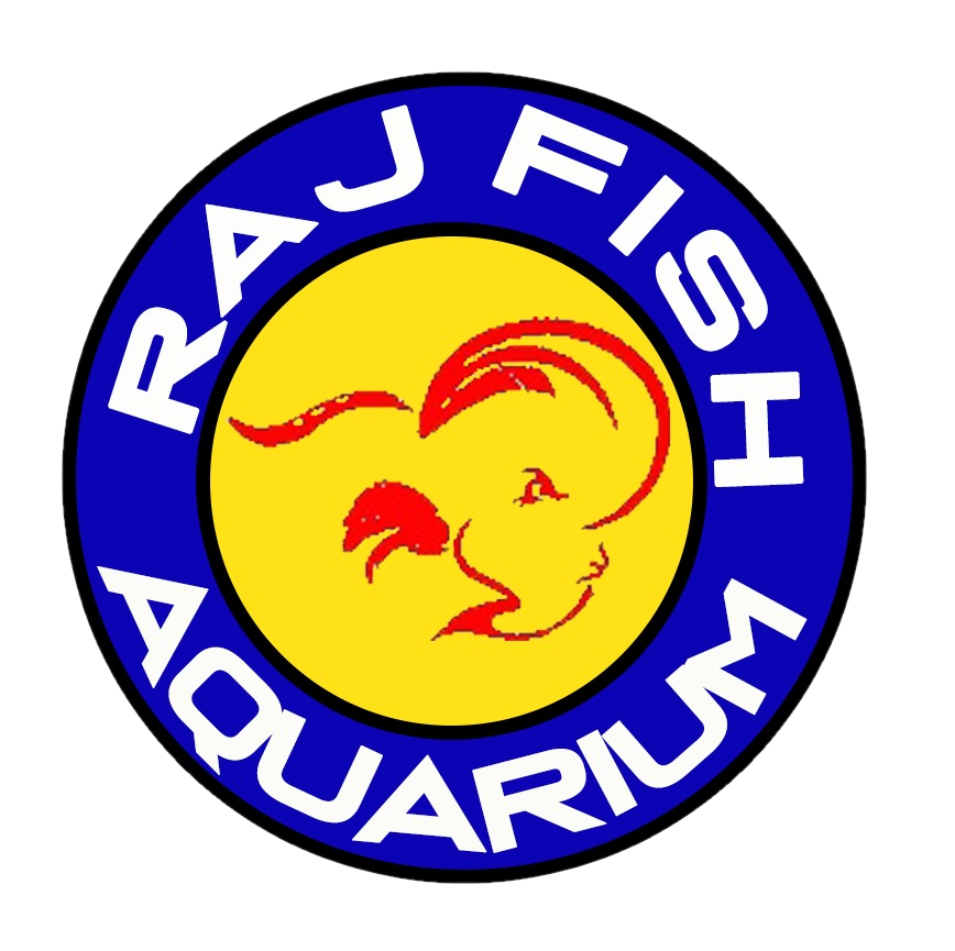 Flowerhorn sales total care